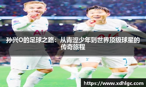 HB火博体育官网